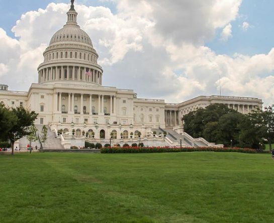 美國餃子館用餃子機包餃子