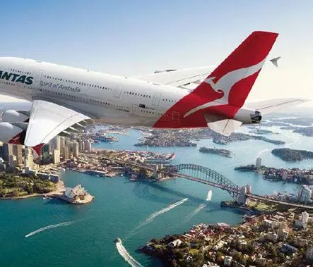 用什么樣的包子機(jī)可以做速凍包子？